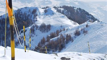 Image pour : 5 JOURS